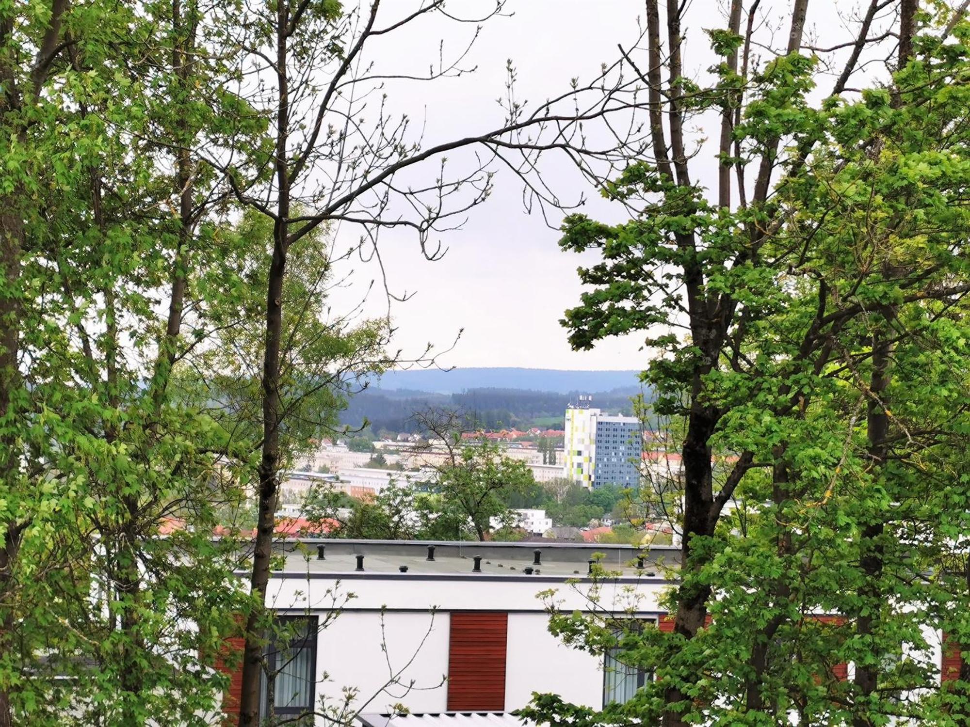 Bohnapartments - Stadtblick Zechenhaus - Balkon - Gratis Parkplatz - Wlan - Sehr Ruhig - Barrierearm Ilmenau Ngoại thất bức ảnh